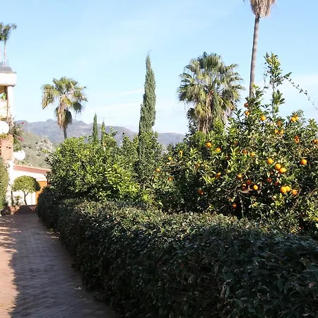 Panoramic - Holidays *